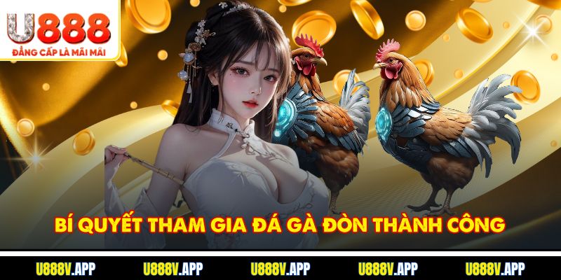 Bí quyết tham gia đá gà đòn thành công