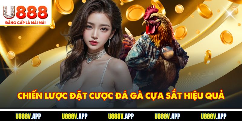 Chiến lược đặt cược đá gà cựa sắt hiệu quả