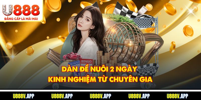 Dàn Đề Nuôi 2 Ngày - Kinh Nghiệm Từ Chuyên Gia