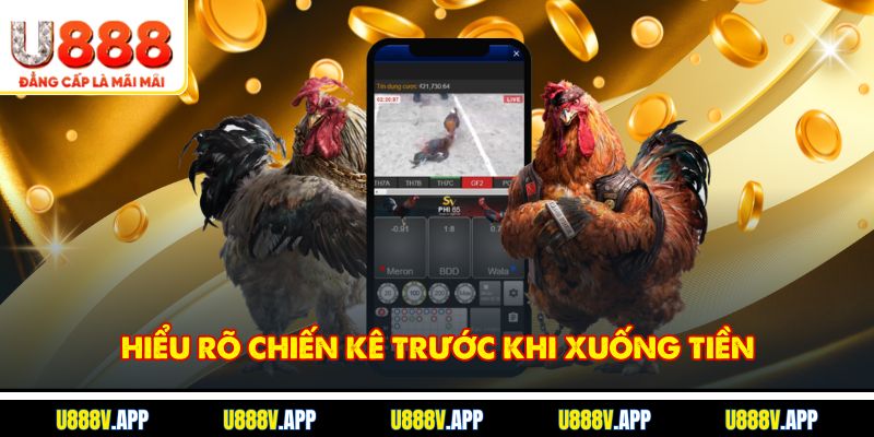 Hiểu rõ chiến kê trước khi xuống tiền
