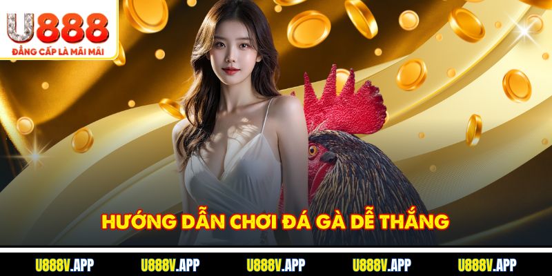 Hướng dẫn chơi đá gà dễ thắng