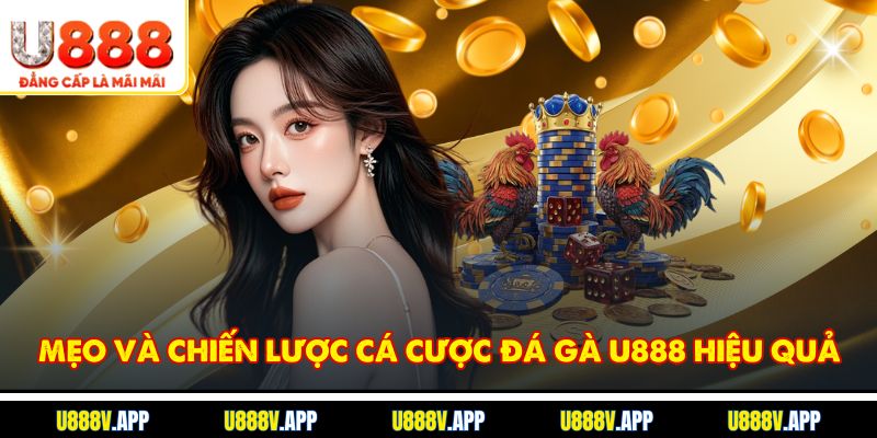 Mẹo và chiến lược cá cược đá gà U888 hiệu quả
