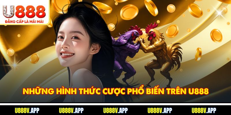 Những hình thức cược phổ biến trên U888