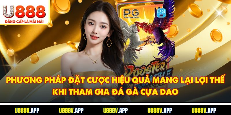Phương pháp đặt cược hiệu quả mang lại lợi thế khi tham gia đá gà cựa dao
