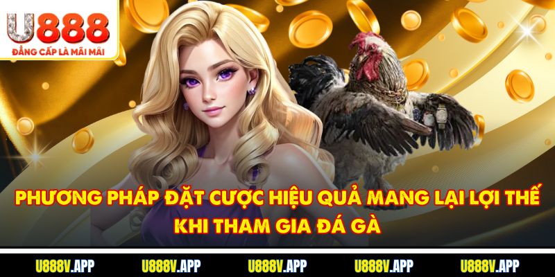 Phương pháp đặt cược hiệu quả mang lại lợi thế khi tham gia đá gà