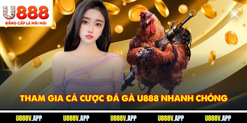 Tham gia cá cược đá gà U888 nhanh chóng