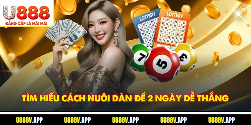 Tìm hiểu cách nuôi dàn đề 2 ngày dễ thắng