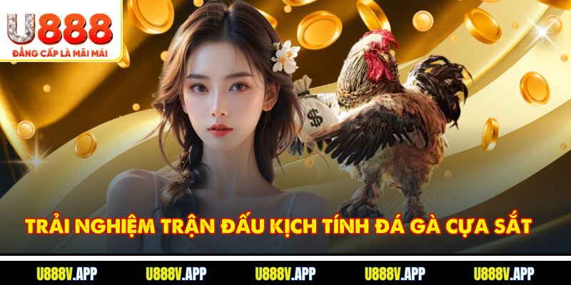 Trải nghiệm trận đấu kịch tính đá gà cựa sắt